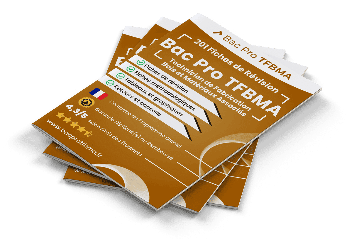 201 Fiches de Révision pour le Bac Pro TFBMA